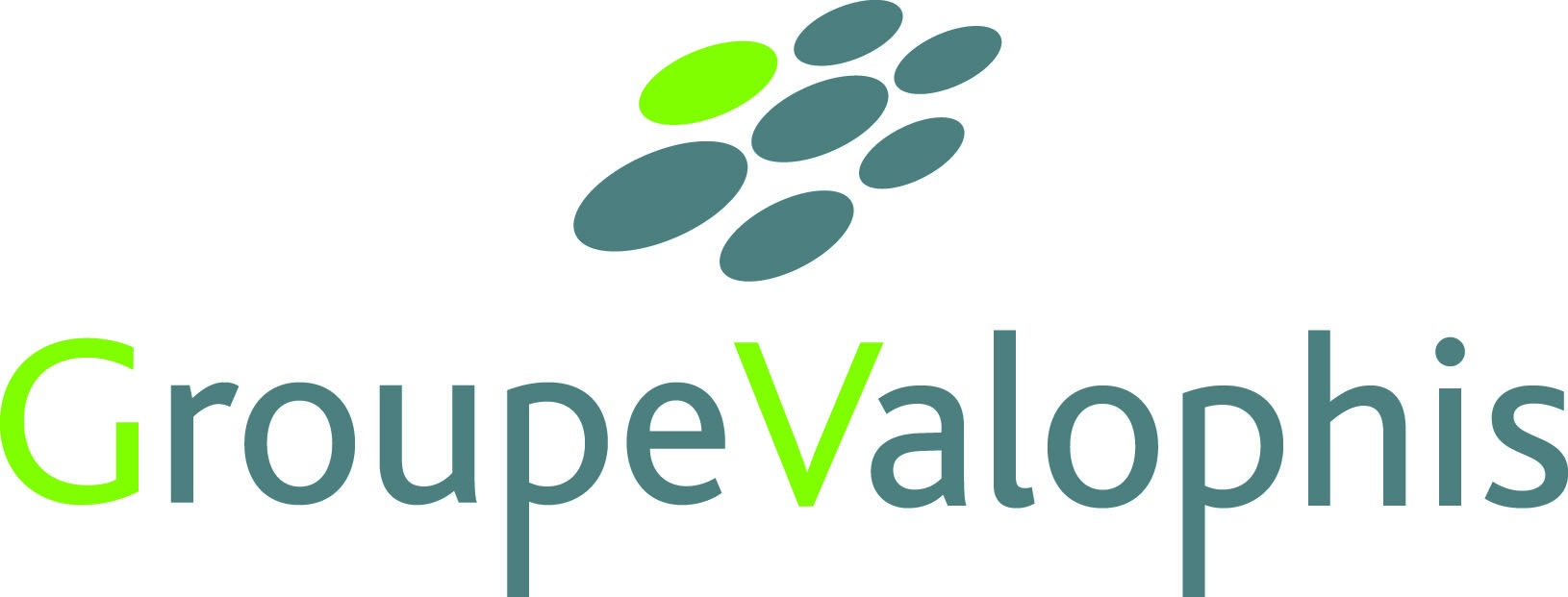 Desneux TP Demolition desamiantage deplombage